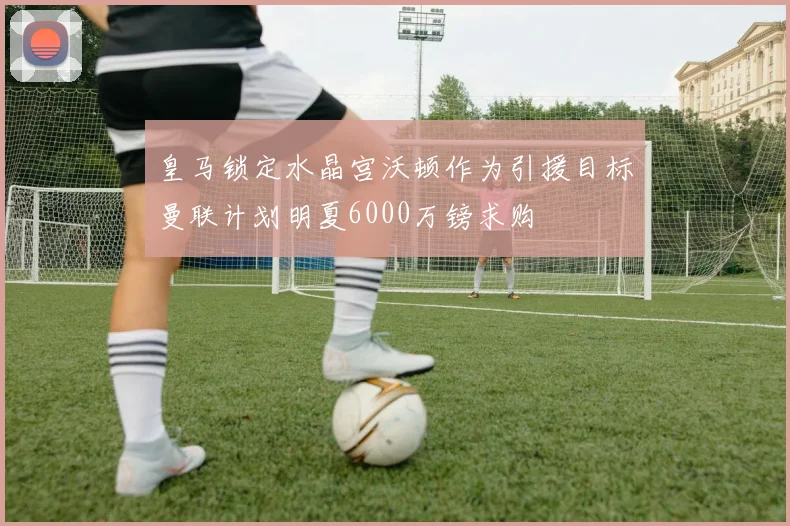皇马锁定水晶宫沃顿作为引援目标曼联计划明夏6000万镑求购