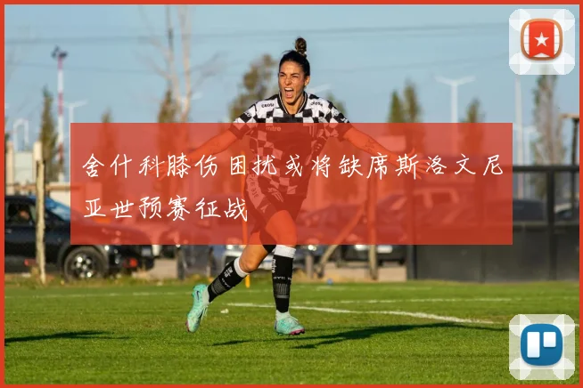 舍什科膝伤困扰或将缺席斯洛文尼亚世预赛征战