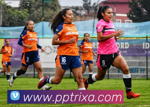 PP体育服务体系